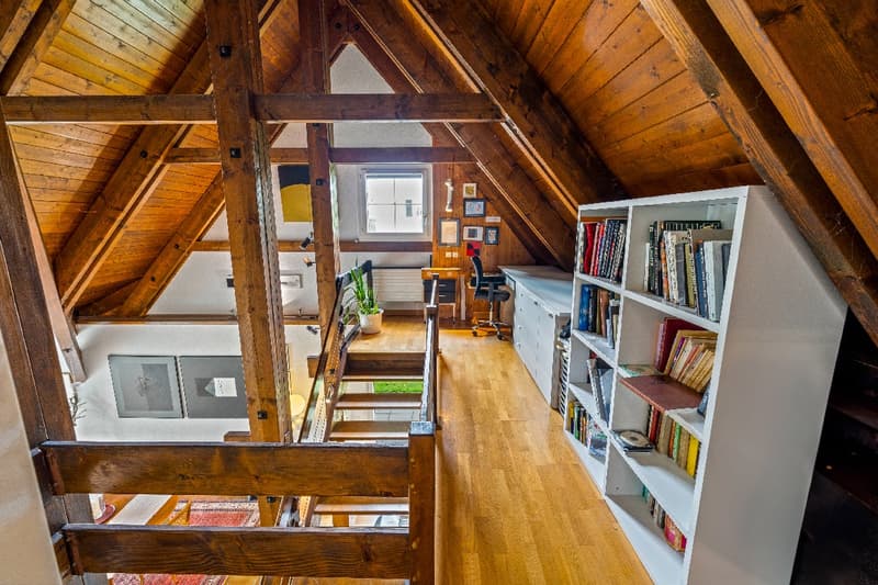 Grande casa indipendente in mezzo alla natura (14)