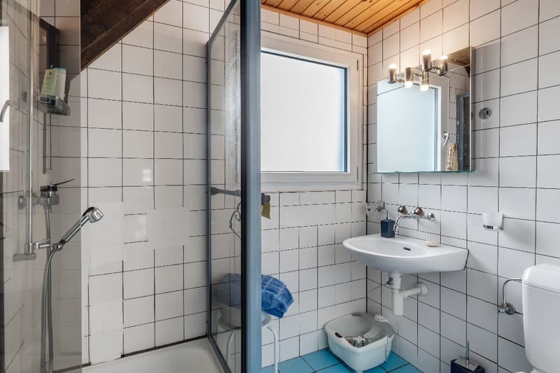 Grande casa indipendente in mezzo alla natura (13)