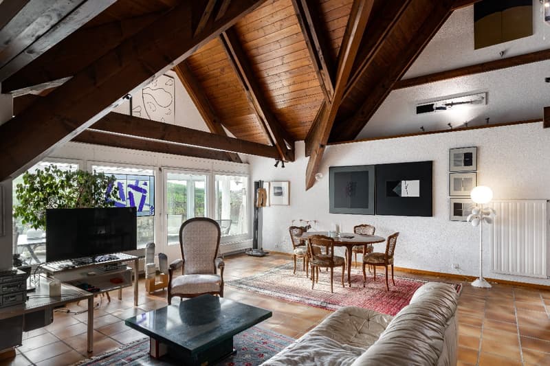 Grande casa indipendente in mezzo alla natura (3)