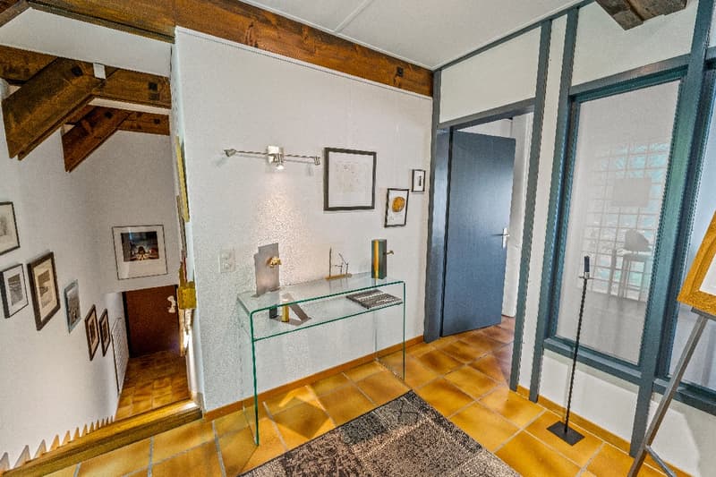 Grande casa indipendente in mezzo alla natura (5)