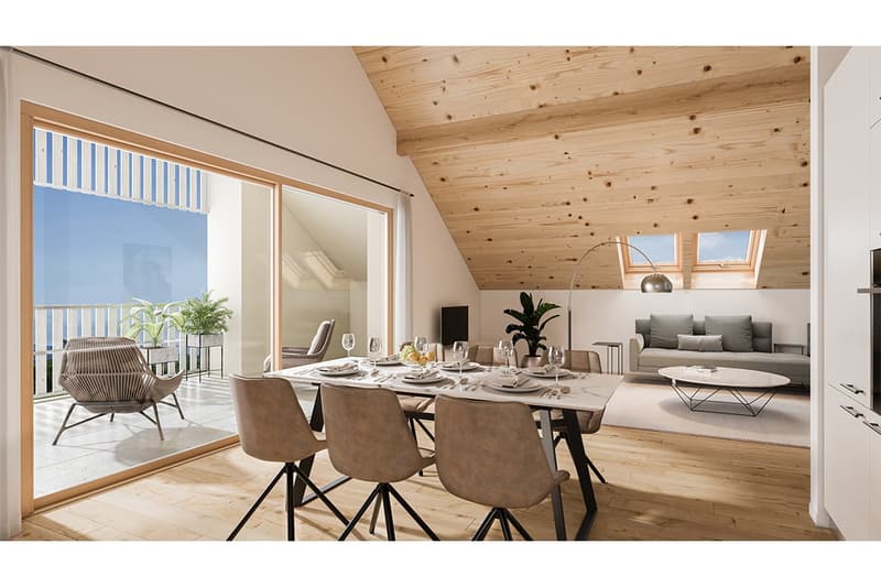 Beautiful new apartment in the attic (3)