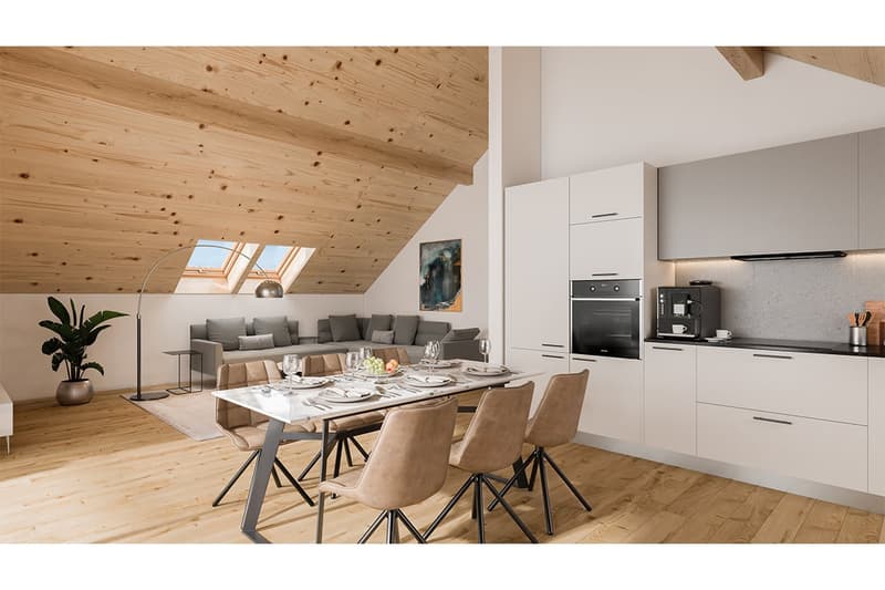 Beautiful new apartment in the attic (4)