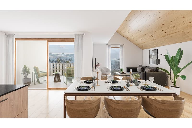 Beautiful new duplex apartment (2)