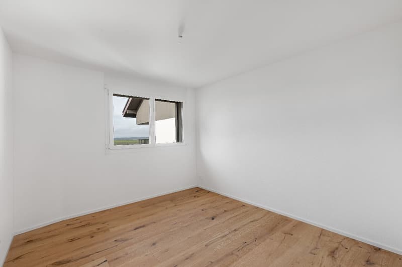 Duplex d'eccezione 5.5 locali – terrazza panoramica e ambiente idilliaco (7)