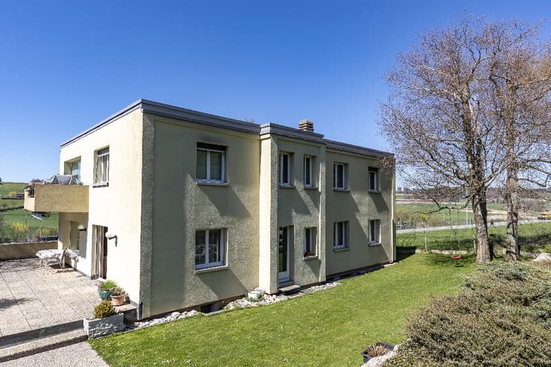 Schönes helles 5,5-Zimmer-Apartment im 1. Stock mit privatem Garten im Erdgeschoss (12)