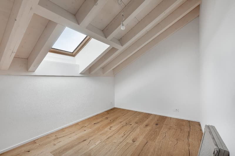 Splendide appartement de 5 ½ pièces en duplex (7)