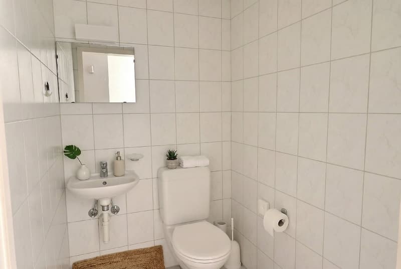 Appartement de rendement ou pour y habiter ! (12)