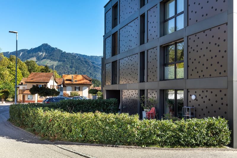Spacieux appartement proche de la forêt de Bouleyres (11)