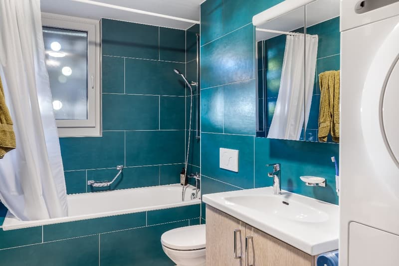 Spacieux appartement proche de la forêt de Bouleyres (10)