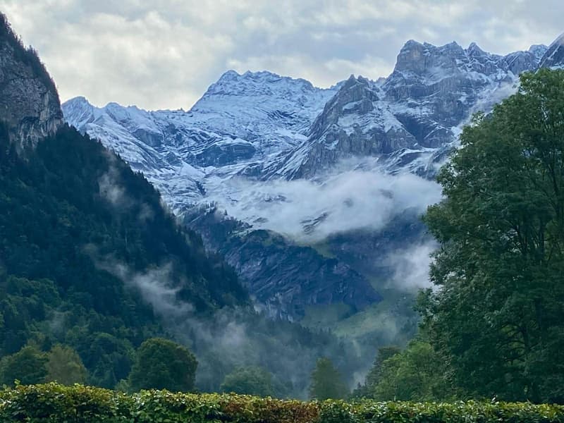 snow-covered mountains, dense forest, foggy clouds, lush vegetation, expansive view