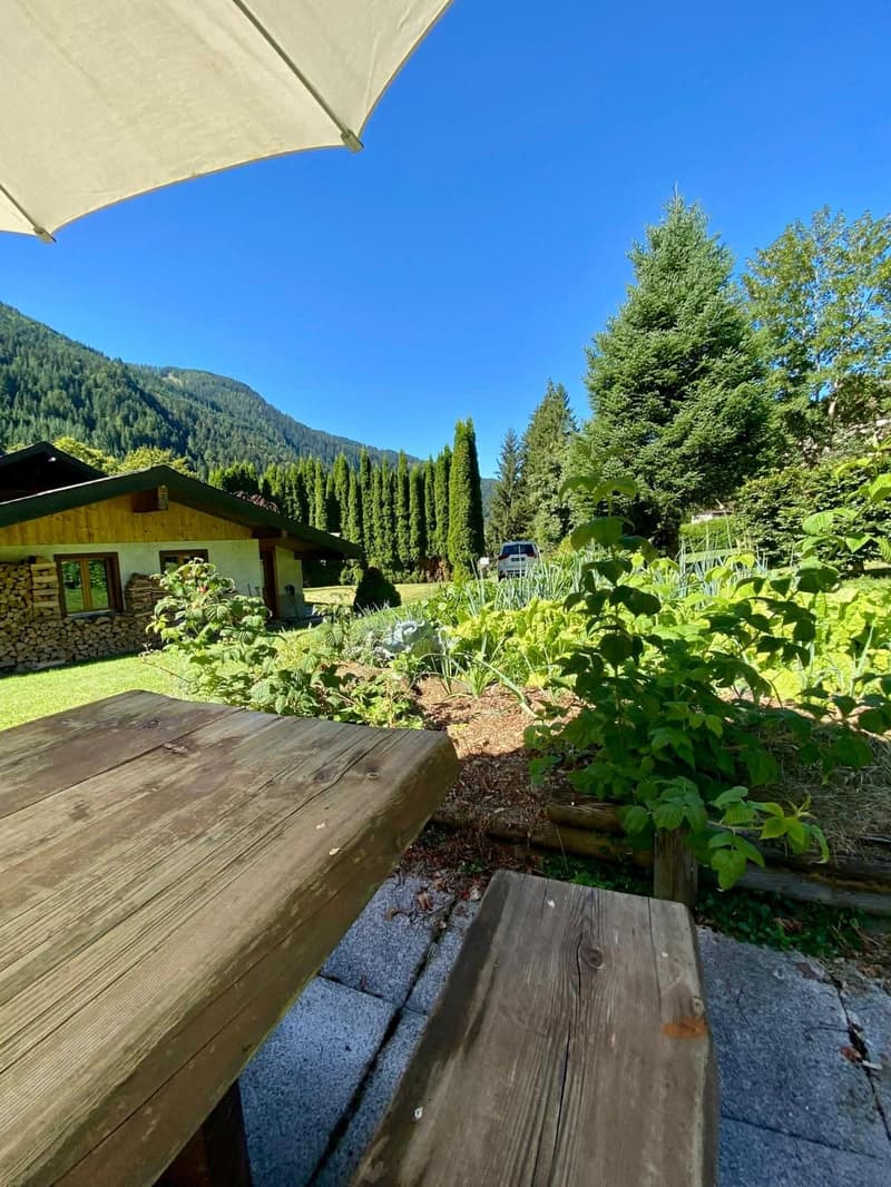 Rustic wooden table and bench, garden with various plants, house in the background, blue sky
