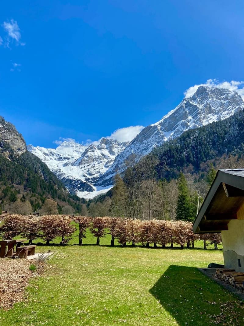 A house beside green grassy meadow, snow-capped mountains in the background, and a mountain pine trees line in the front.