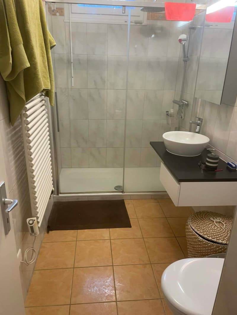 Bathroom with shower, sink, toilet, and towel rack
