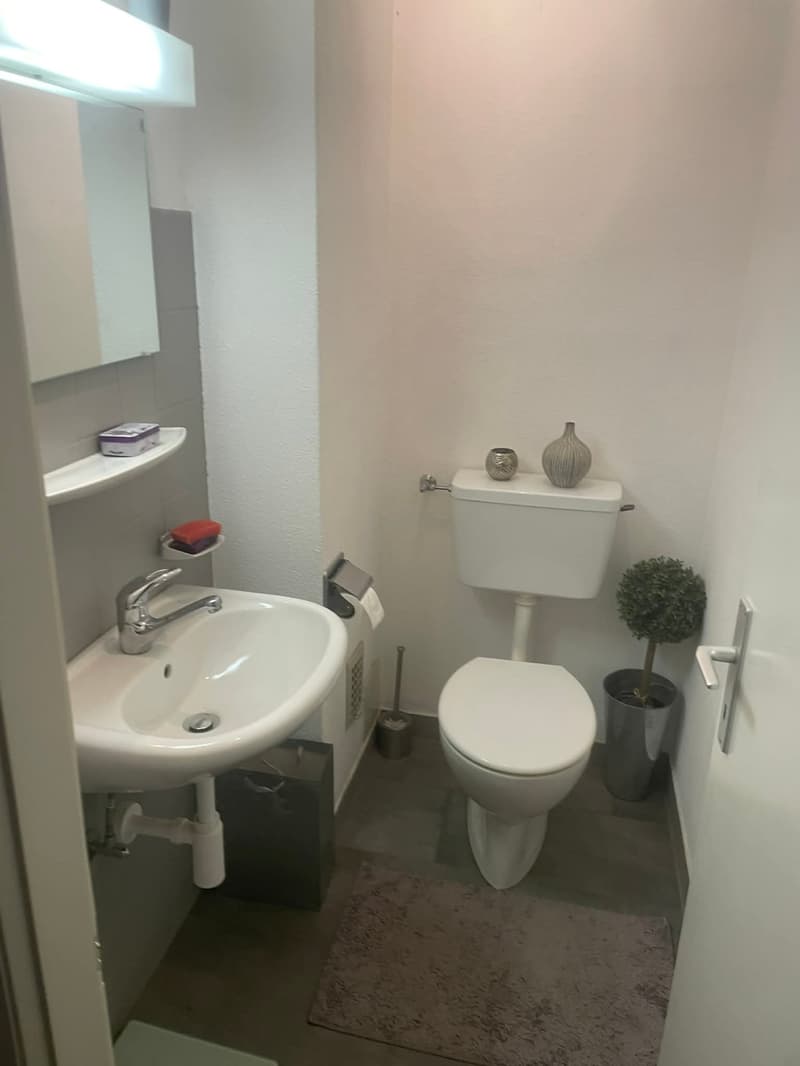 Small bathroom with white sink, toilet, mirror, and potted plant