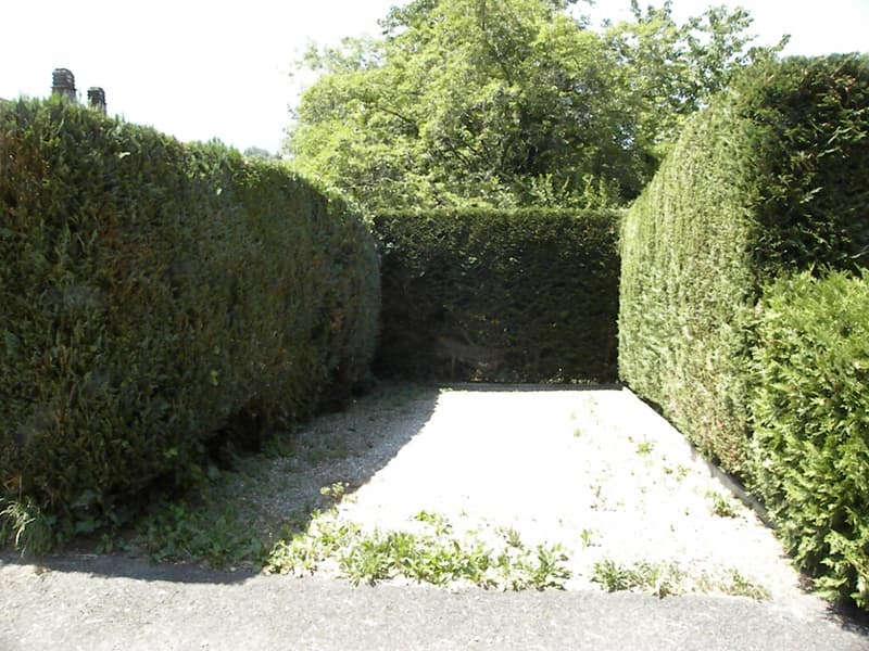 Charmante maison individuelle de 6.5 pièces à Bex (7)