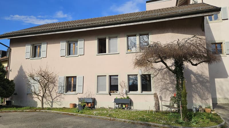 St-Saphorin s/Morges edificio locativo con 7 appartamenti (5)