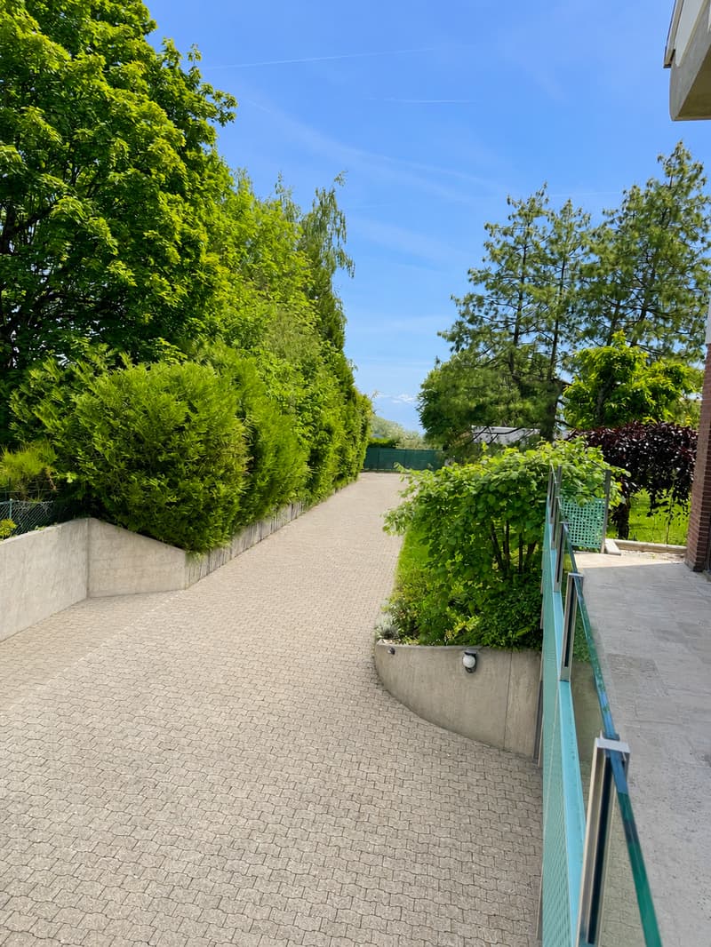 Vue panoramique sur le Léman - Havre de paix (3)