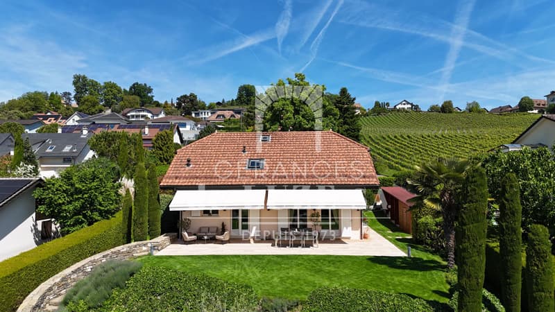Exclusive: Family villa with 6.5 rooms and swimming pool (11)