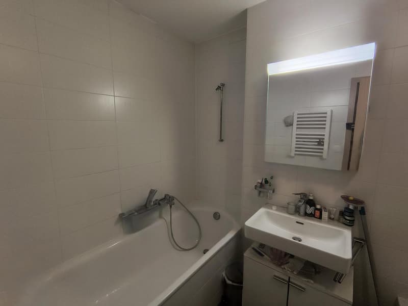 Schönes 3-Zimmer-Apartment in Morges (4)