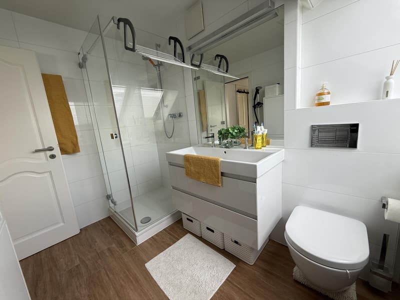 Appartamento duplex di 4½ locali nel sottotetto (7)