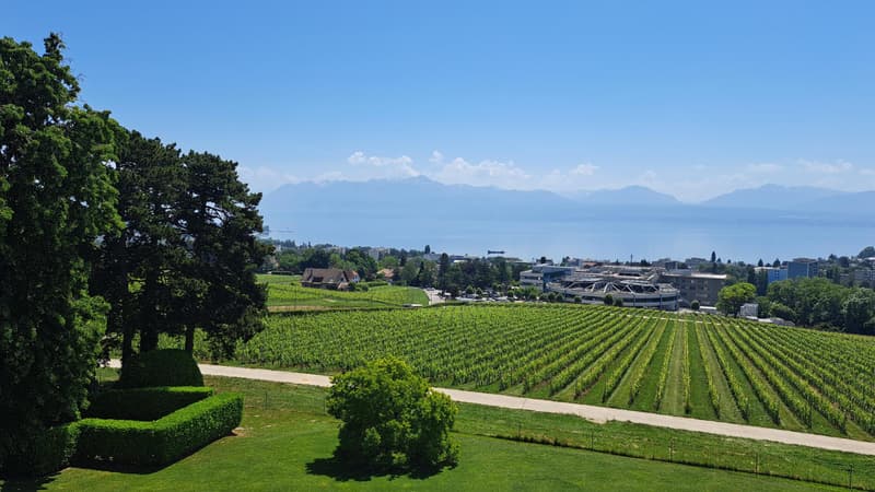Appartamento duplex di 4½ locali nel sottotetto (1)
