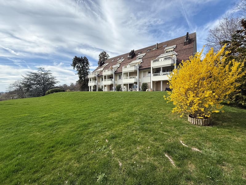 Appartamento duplex di 4½ locali nel sottotetto (8)
