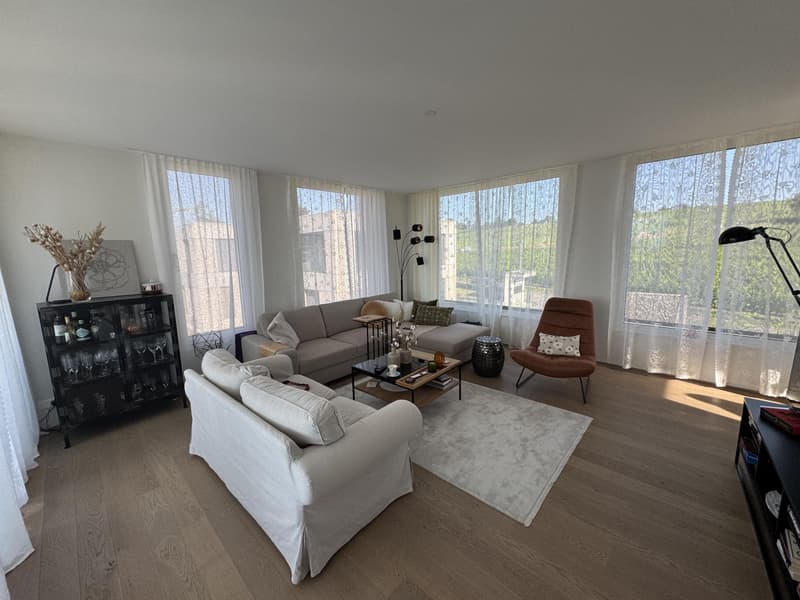 Villa urbana moderna! (2)
