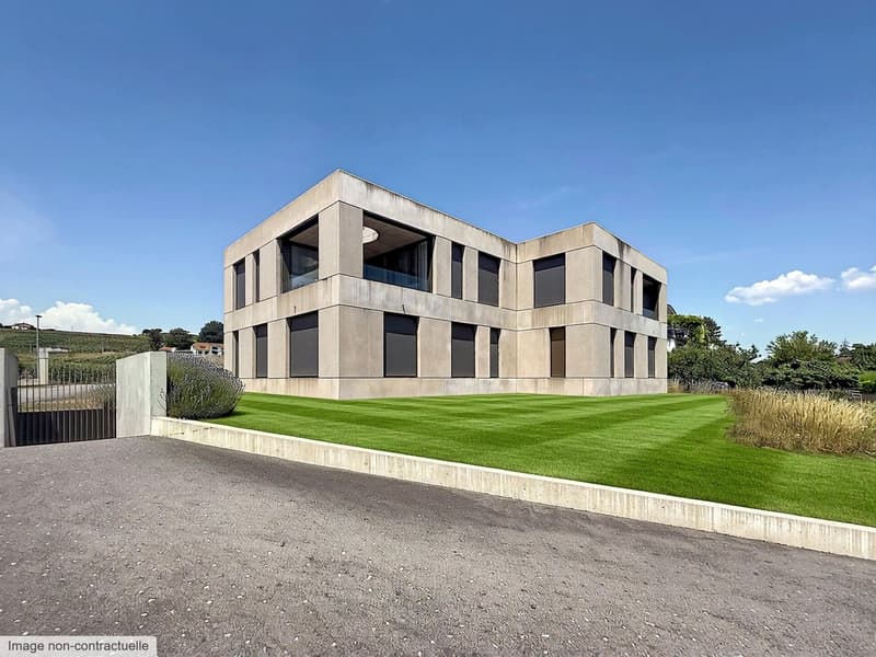 Bellissima villa moderna sulle alture di Morges (1)