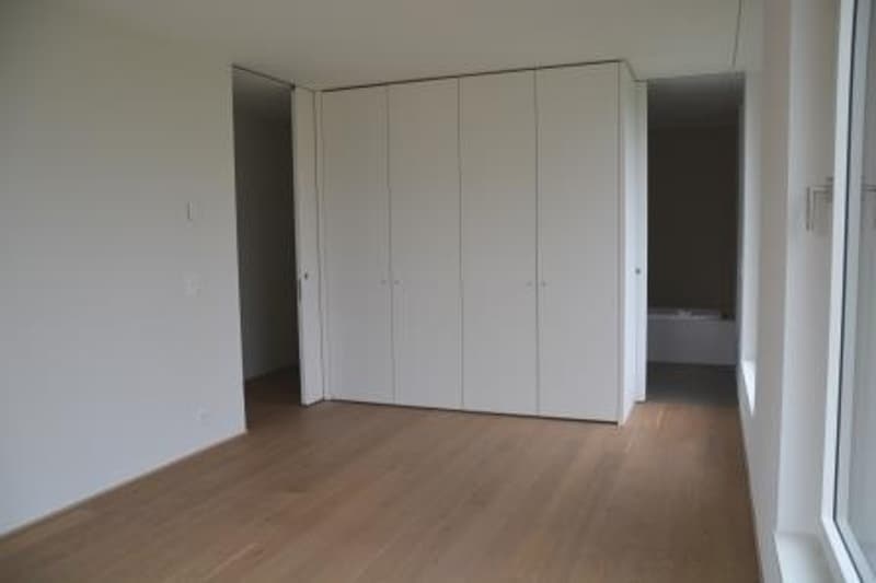 Bellissima villa moderna sulle alture di Morges (7)