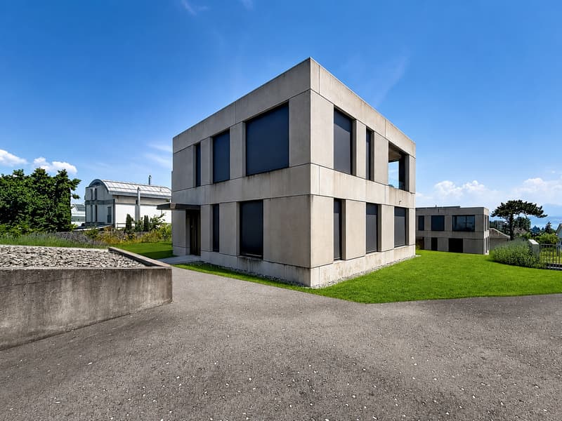 Beautiful modern villa on the heights of Morges (4)