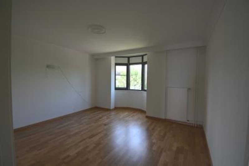 Magnificent 4½ rooms in Morges - Lake view (6)