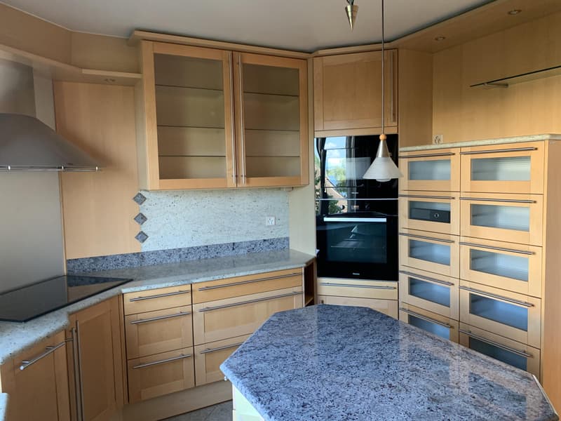 Magnificent 4½ rooms in Morges - Lake view (4)