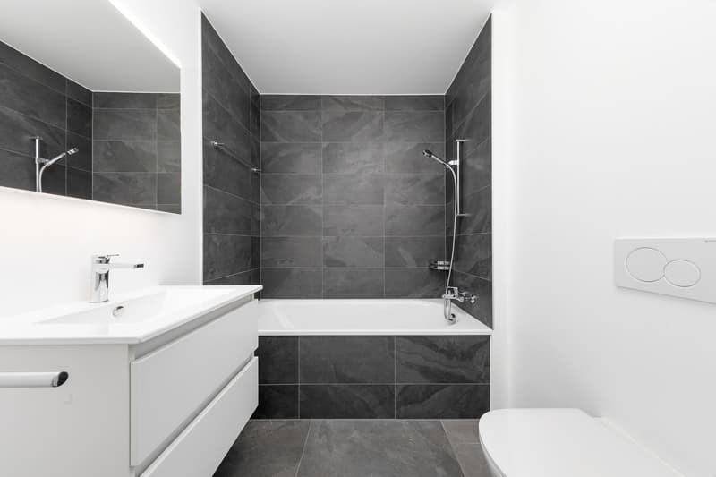 Wohnung mit 4½ Zimmern im Dachgeschoss (Einheit A09 gemäß Plan) (12)