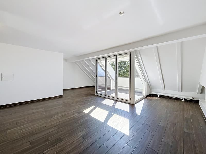 Appartement de 4½ pièces en duplex dans les combles (3)