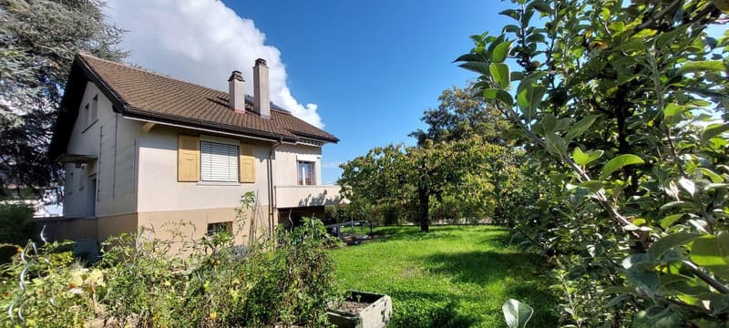 Deliziosa casa indipendente con giardino (4)