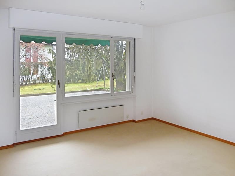 Villa familiale avec grand jardin ? Founex (11)