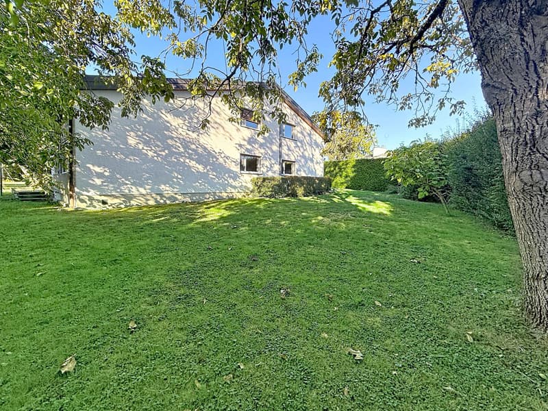 Villa familiale avec grand jardin ? Founex (5)