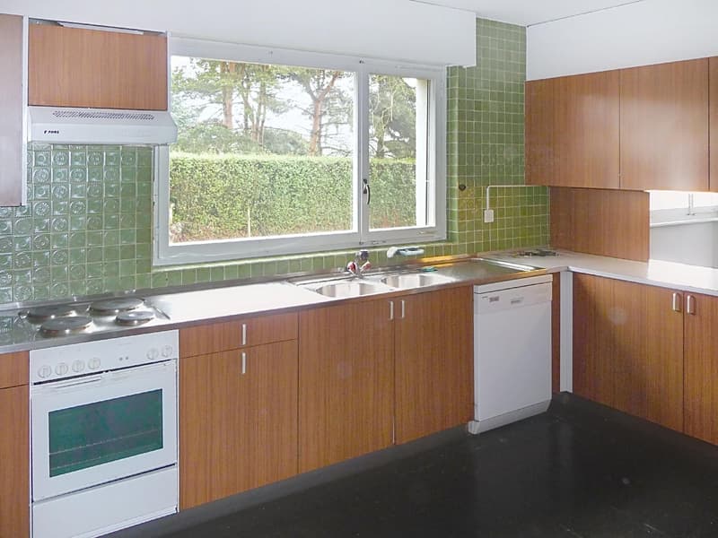 Villa familiale avec grand jardin ? Founex (8)