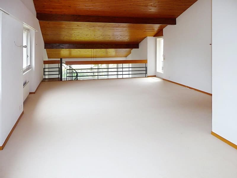 Villa familiale avec grand jardin ? Founex (10)