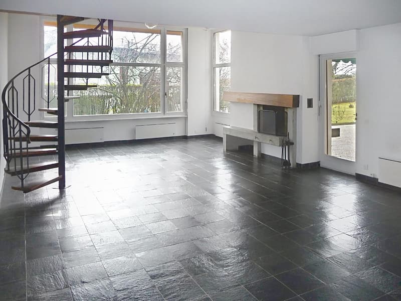 Villa familiale avec grand jardin ? Founex (9)