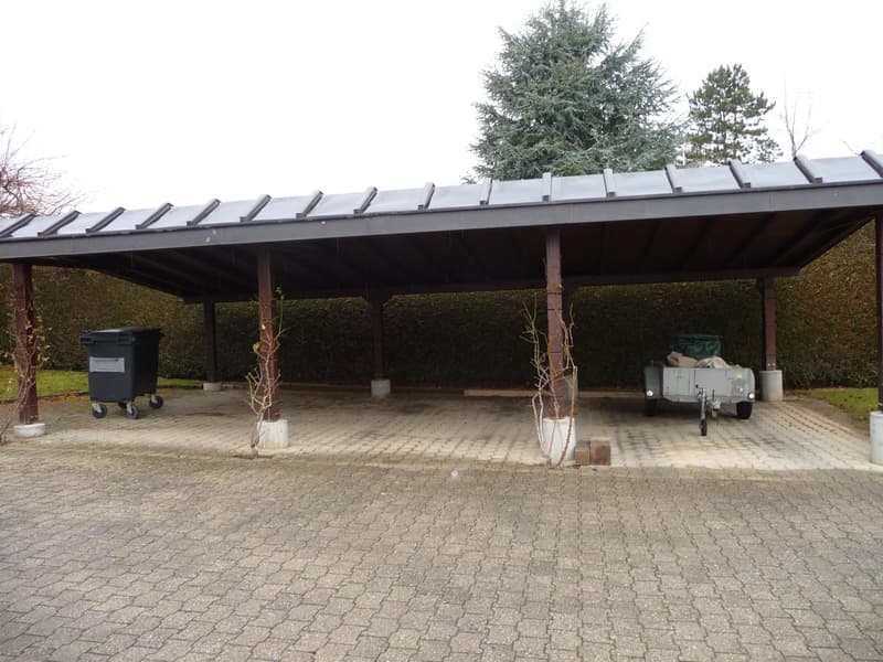 Villa familiale avec grand jardin ? Founex (2)