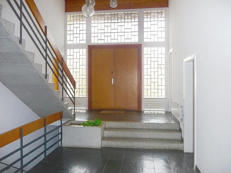 Villa familiale avec grand jardin ? Founex (6)