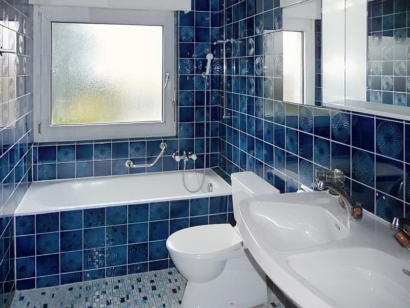 Villa familiale avec grand jardin ? Founex (12)