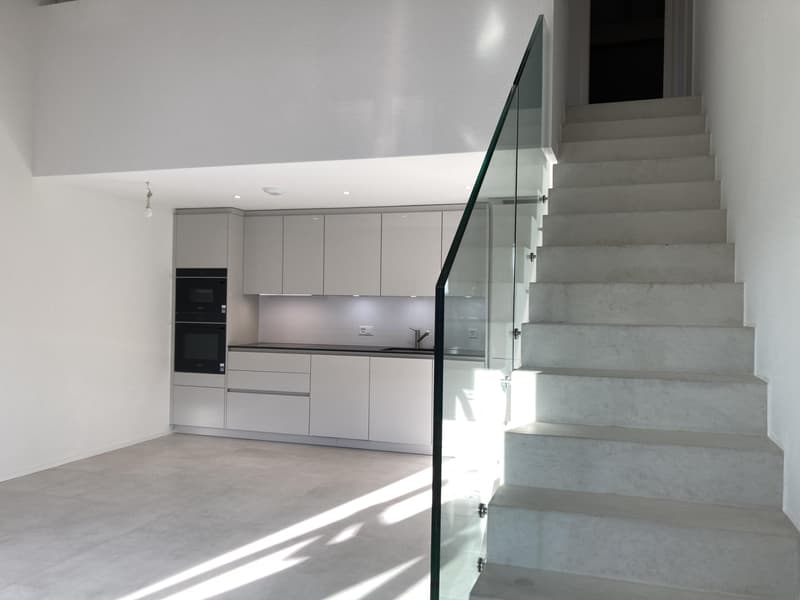 Magnifique duplex de 2½ pièces avec grande mezzanine (1)