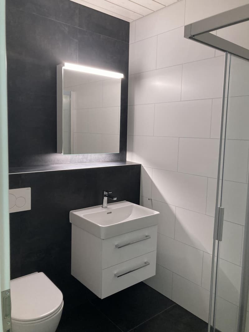 Magnifique duplex de 2½ pièces avec grande mezzanine (3)