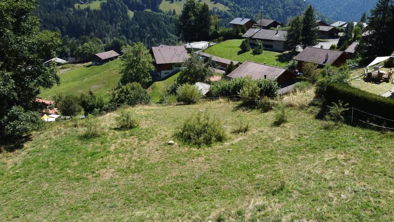 Gryon Immo propone un bel lotto vicino a tutte le comodità (3)