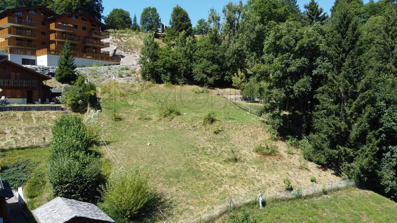 Gryon Immo propone un bel lotto vicino a tutte le comodità (2)
