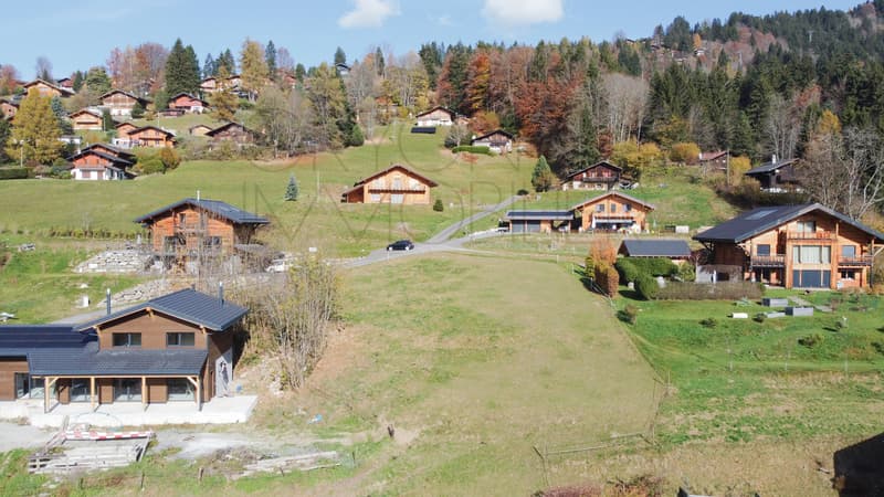 Land in Gryon with permit for a chalet as a primary residence (1)