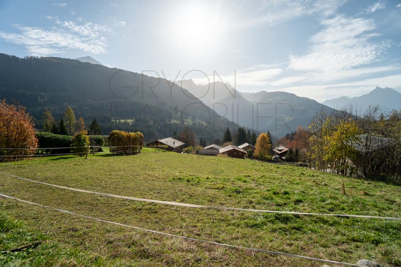 Land in Gryon with permit for a chalet as a primary residence (3)