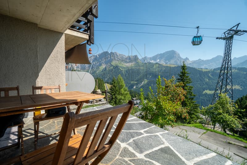 Charme et vue panoramique à 150 m des pistes (9)